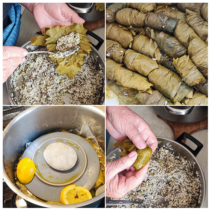 Χειροποίητα vegan ντολμαδάκια γιαλαντζί με αμπελόφυλλα, ρύζι και μυρωδικά κατά την προετοιμασία και το τύλιγμα. Traditional vegan dolmadakia with vine leaves, rice and fresh herbs during preparation in a cozy Greek kitchen.
